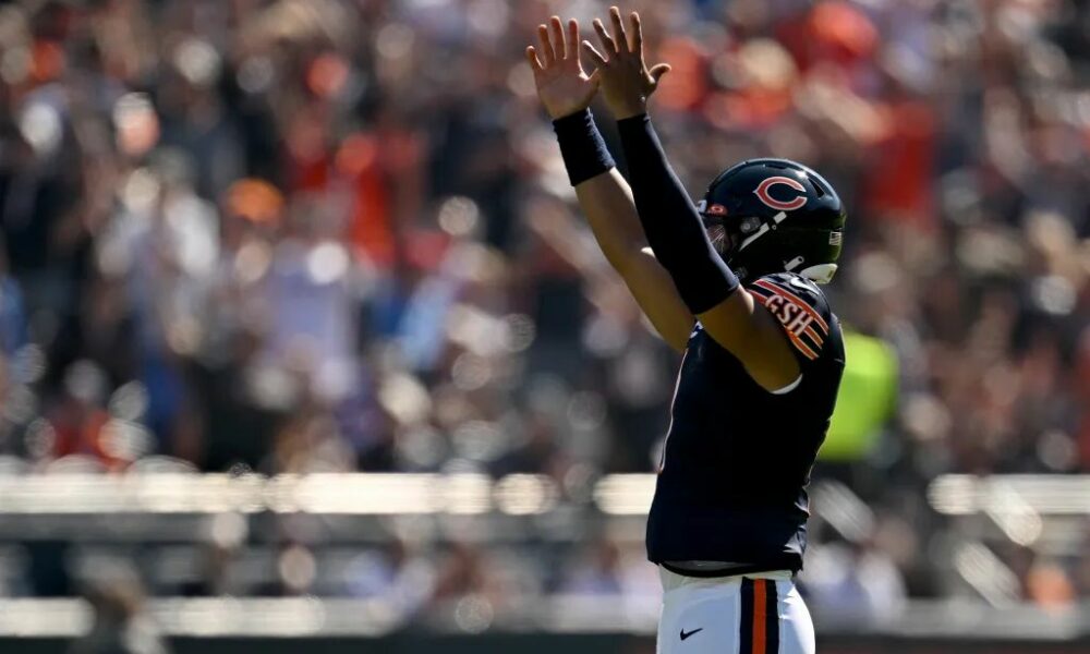 Updated look at NFC North standings entering Week 11 (2023 Season)