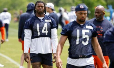 Bears TE Gerald Everett placed on non-football injury list (News)