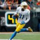 Should the Bears sign former Chargers WR Mike Williams? (Free Agency)